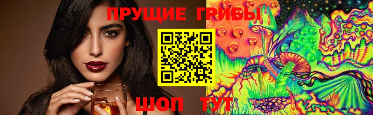Галлюциногенные грибы MAGIC MUSHROOMS Фрязино